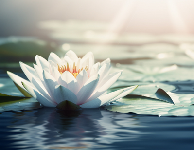 圓滿終點尊嚴禮儀互助